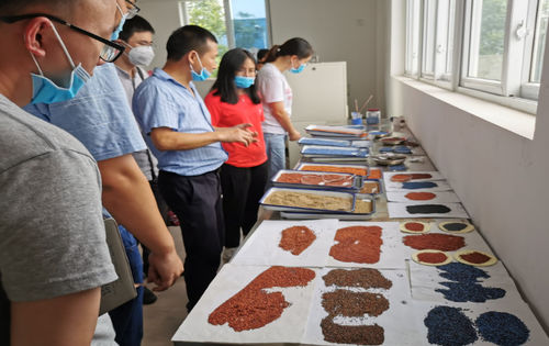Latest company news about Basis industri-universitas-penelitian dari Departemen Bahan Universitas Teknologi Chengdu, kerja sama komprehensif dengan China Guangdong Building Materials